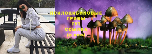 героин Новодвинск