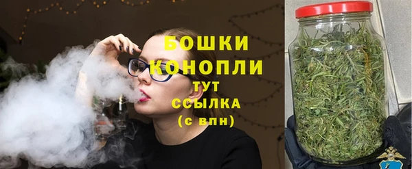 молекула духа Ахтубинск