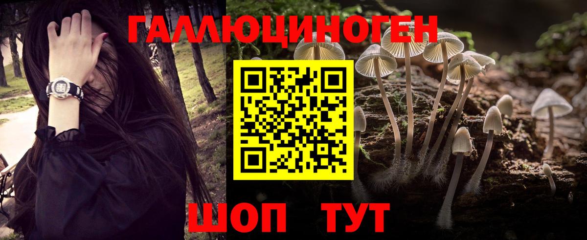 Галлюциногенные грибы Magic Shrooms  Димитровград  Галлюциногенные грибы Magic Shrooms 